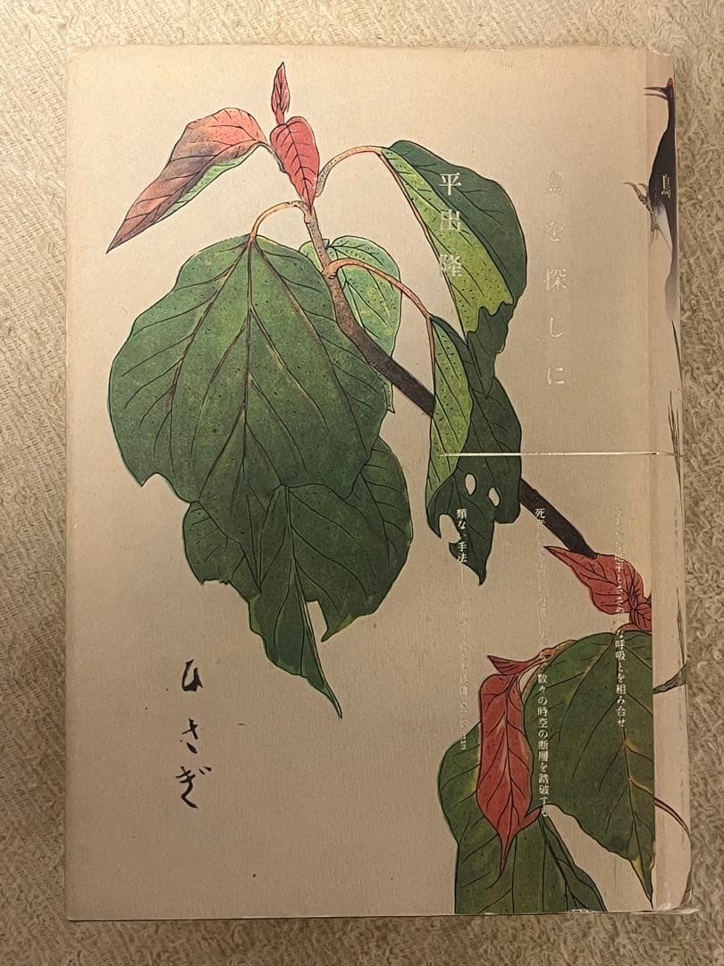 鳥を探しに　平出隆