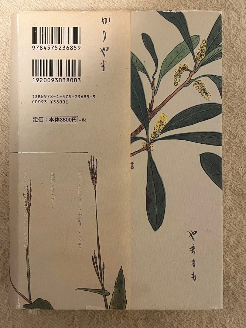 鳥を探しに　平出隆