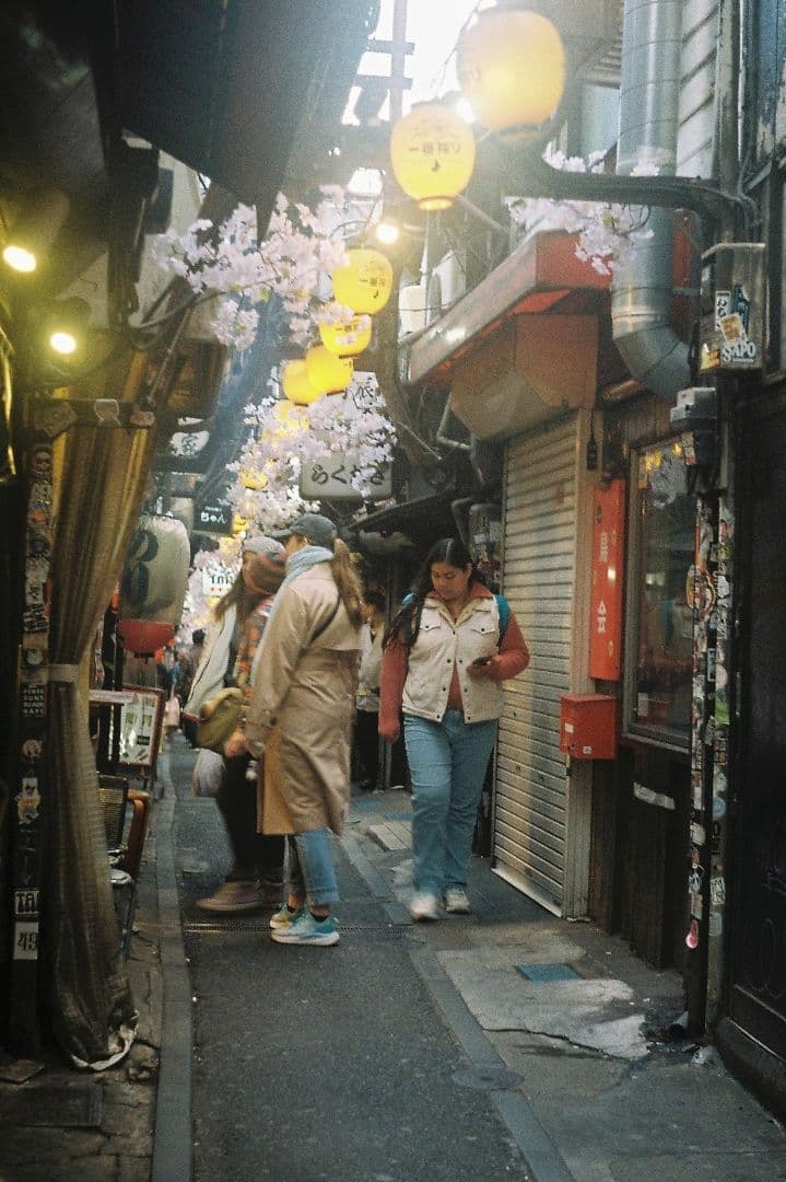 作例あり Konishiroku Hexar 50mm f/3.5