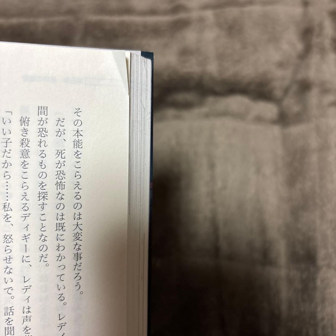 嘆きの亡霊は引退したい 全巻 小説 1-13巻 + 短編集