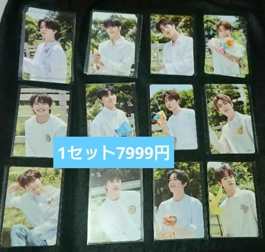 treasure 魔女工場 マニョ トレカ 5種60枚 コンプ セット