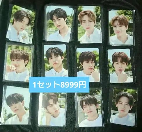 treasure 魔女工場 マニョ トレカ 5種60枚 コンプ セット