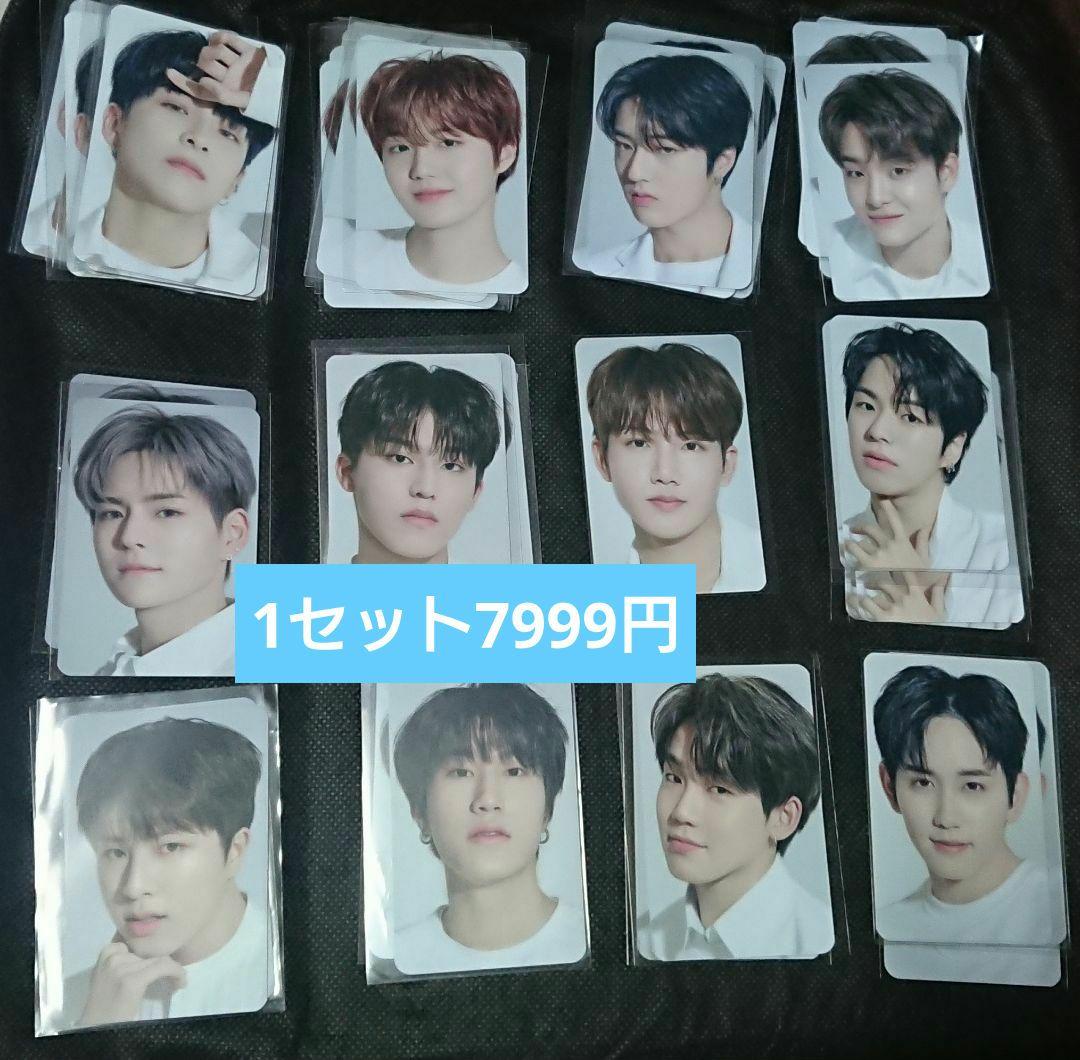 treasure 魔女工場 マニョ トレカ 5種60枚 コンプ セット