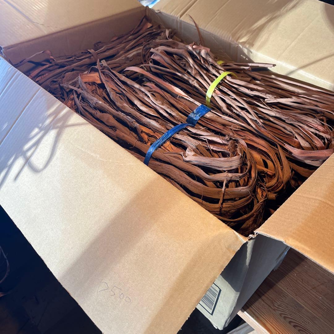 ラッキー　山葡萄の蔓