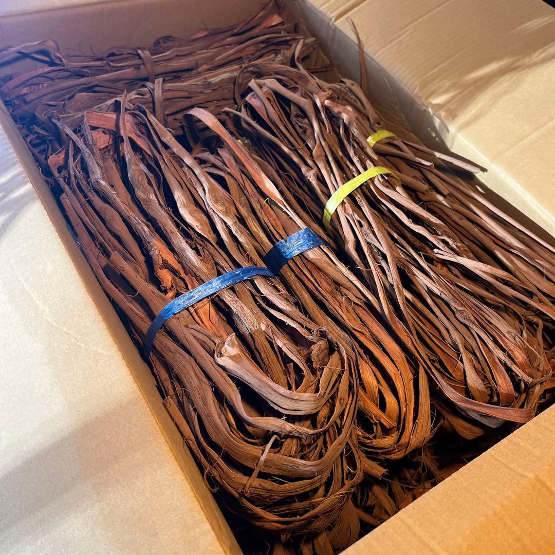 ラッキー　山葡萄の蔓