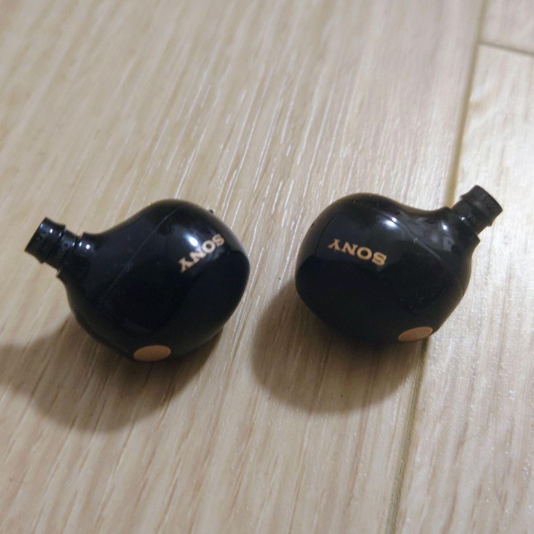 ソニー WF-1000XM5 ブラック ワイヤレスイヤホン SONY 黒