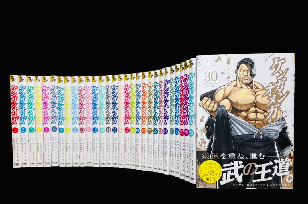 【全巻セット】ケンガンオメガ 1-30巻(既刊)/だろめおん