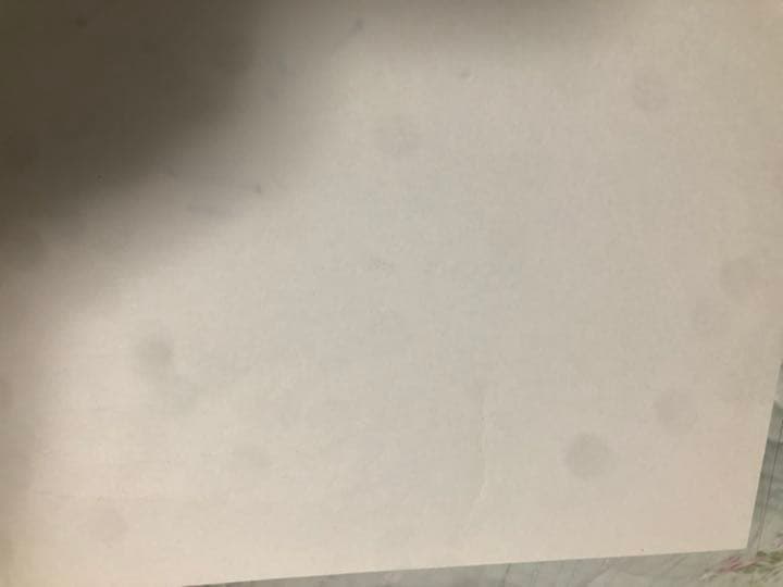 チェインクロニクル　内田真礼　サイン入りポスター