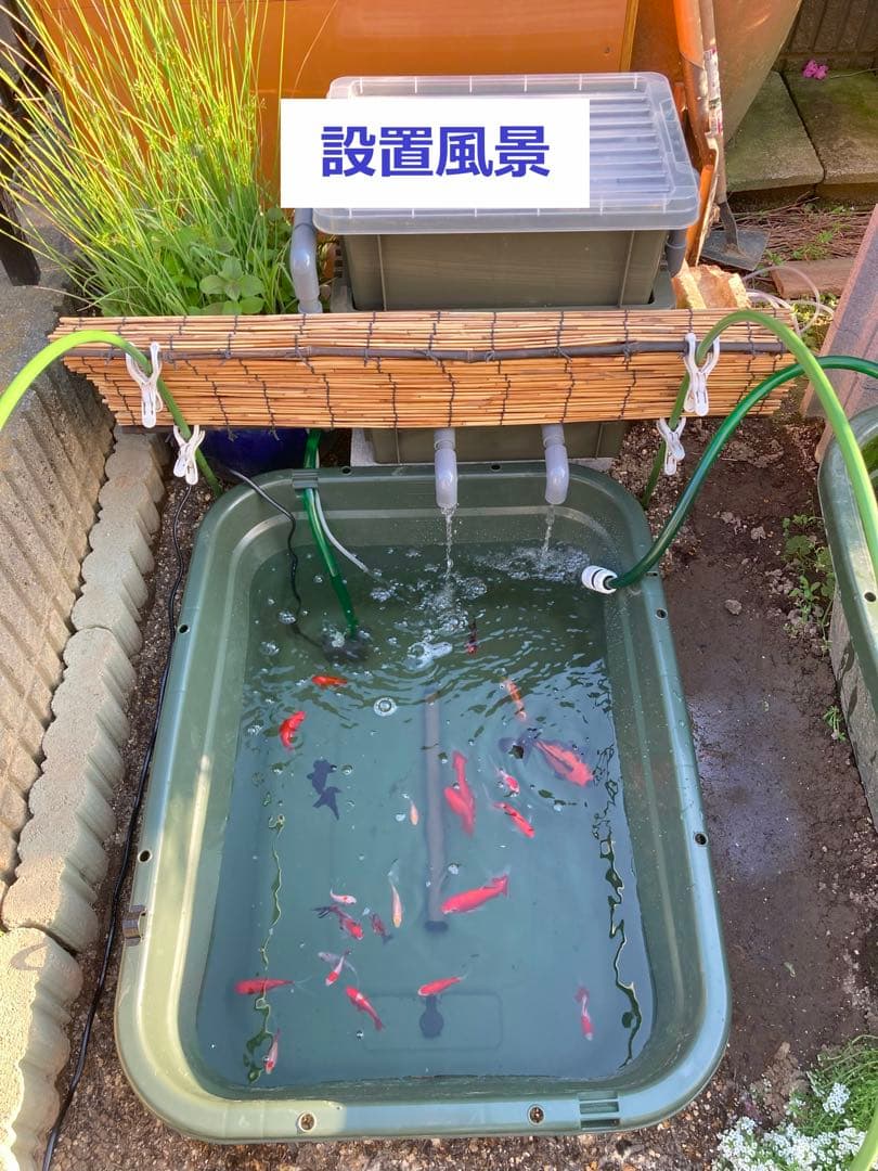 【DIY】三段式外部ろ過装置（個人製作濾過装置）【メダカ・金魚・錦鯉の屋外飼育】