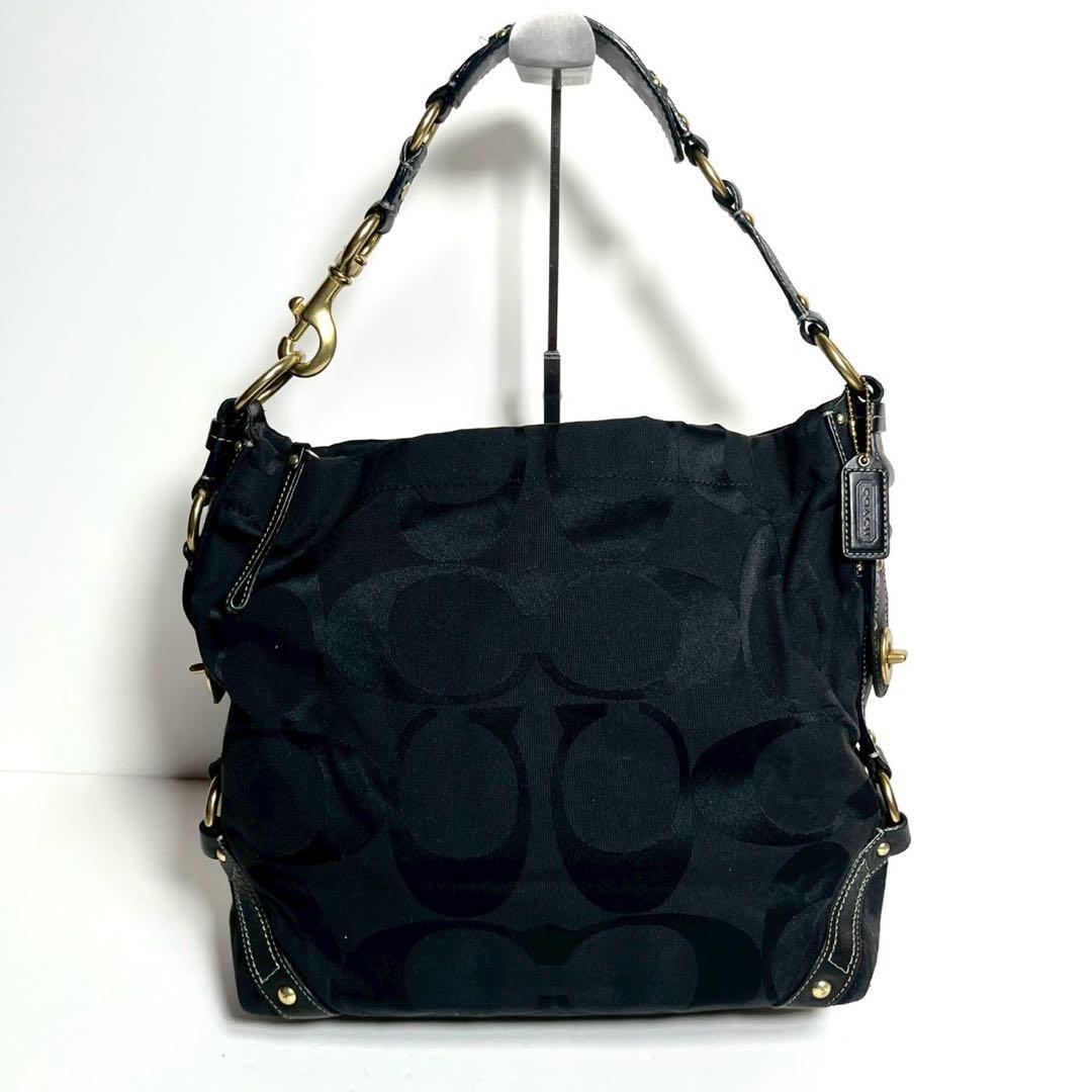 バッグ Coach Canvas Carly Hobo Shoulder Bag