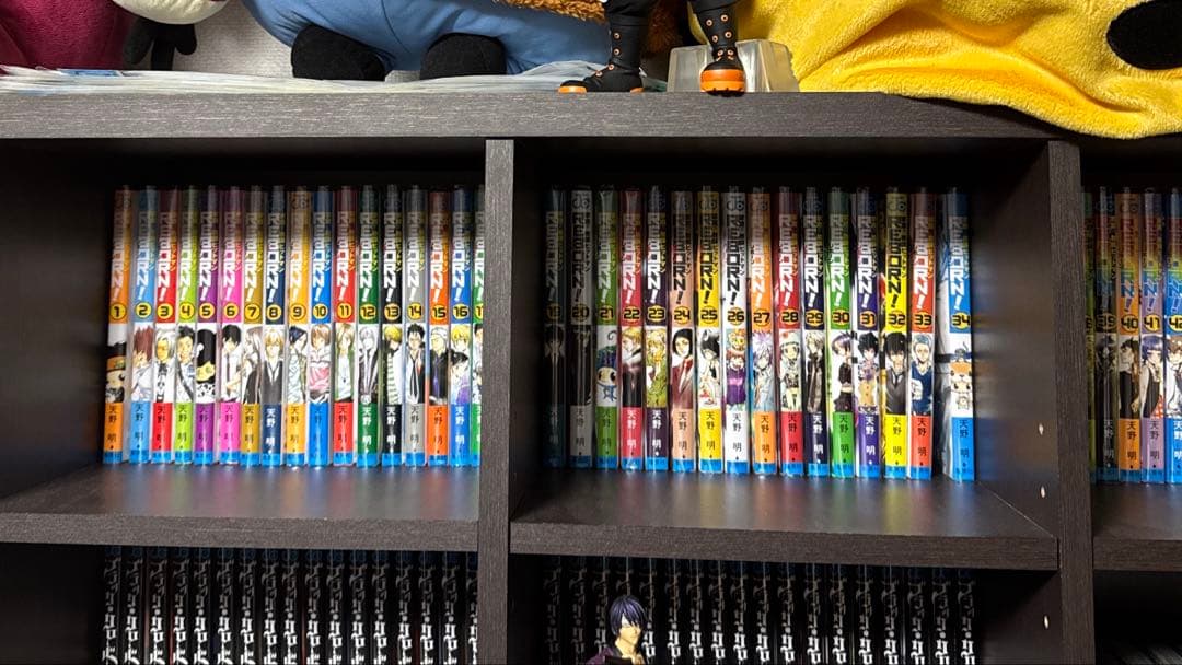 家庭教師ヒットマンREBORN！全巻セット超美品