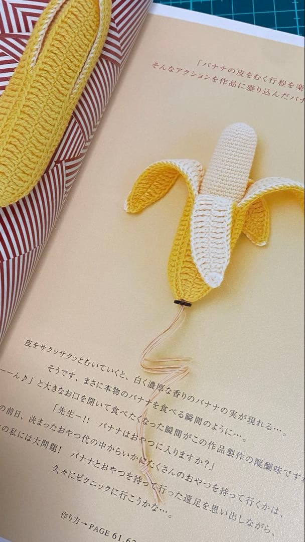 藤田智子のニットルーム２冊セット/毛糸のティータイム ・しあわせのニットタイム