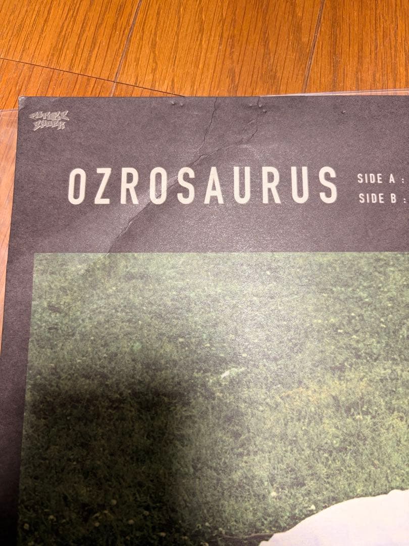 Ozrosaurus Whooo 045 Style MACCHO レコード