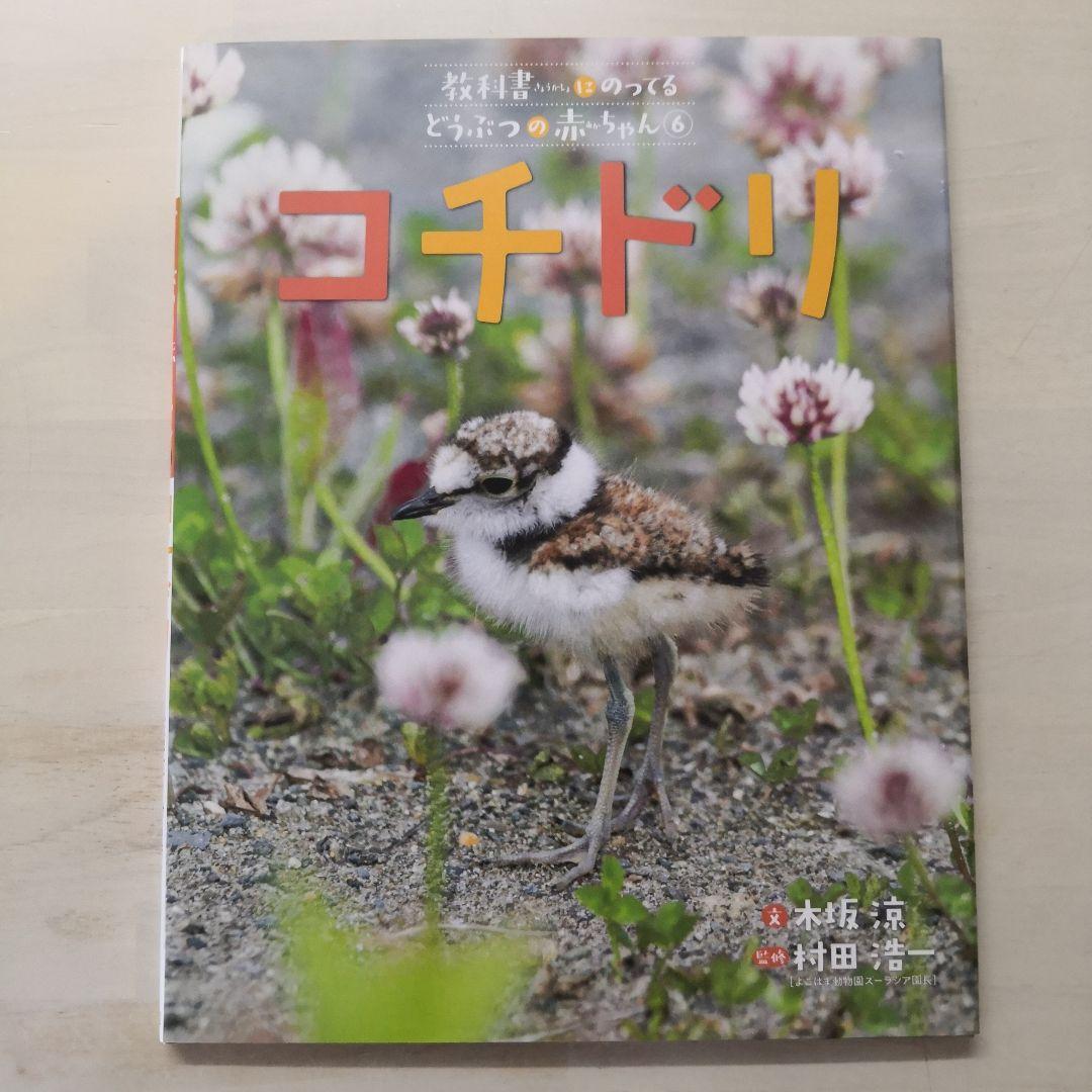 教科書にのってるどうぶつの赤ちゃん　全6巻セット