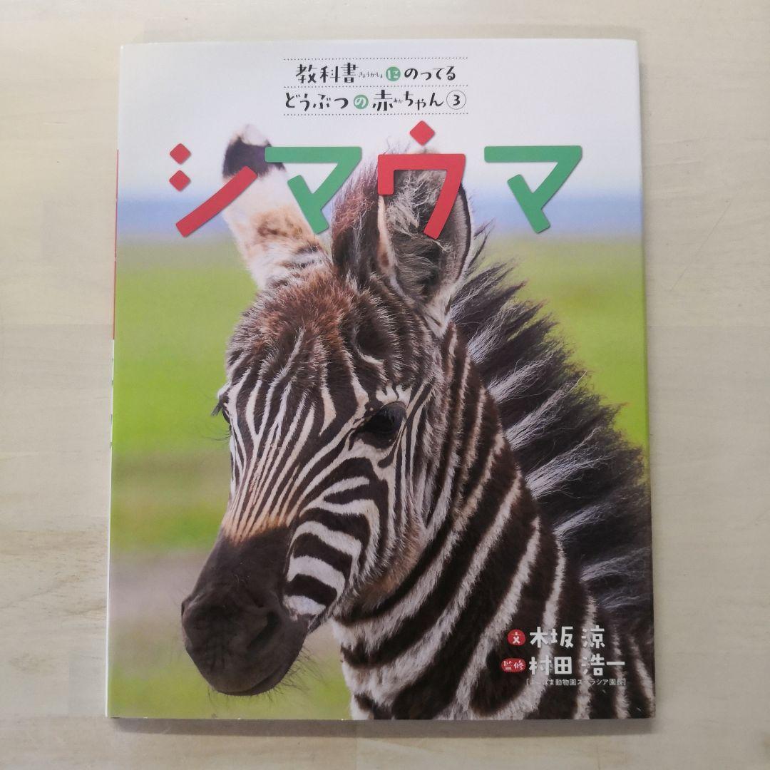 教科書にのってるどうぶつの赤ちゃん　全6巻セット