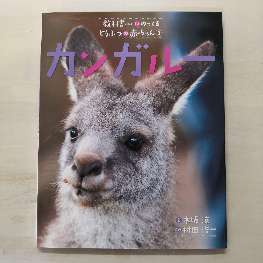 教科書にのってるどうぶつの赤ちゃん　全6巻セット