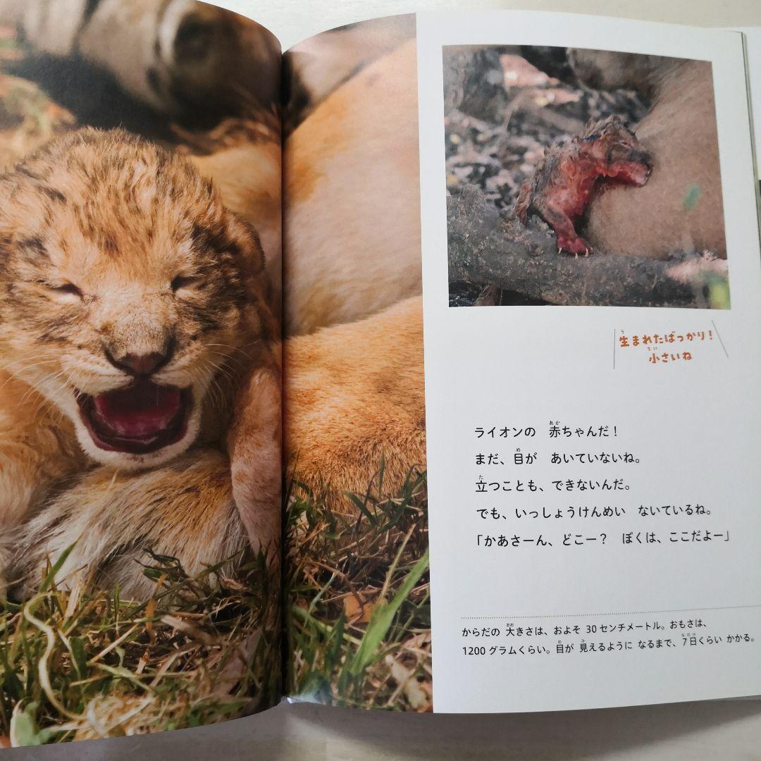 教科書にのってるどうぶつの赤ちゃん　全6巻セット