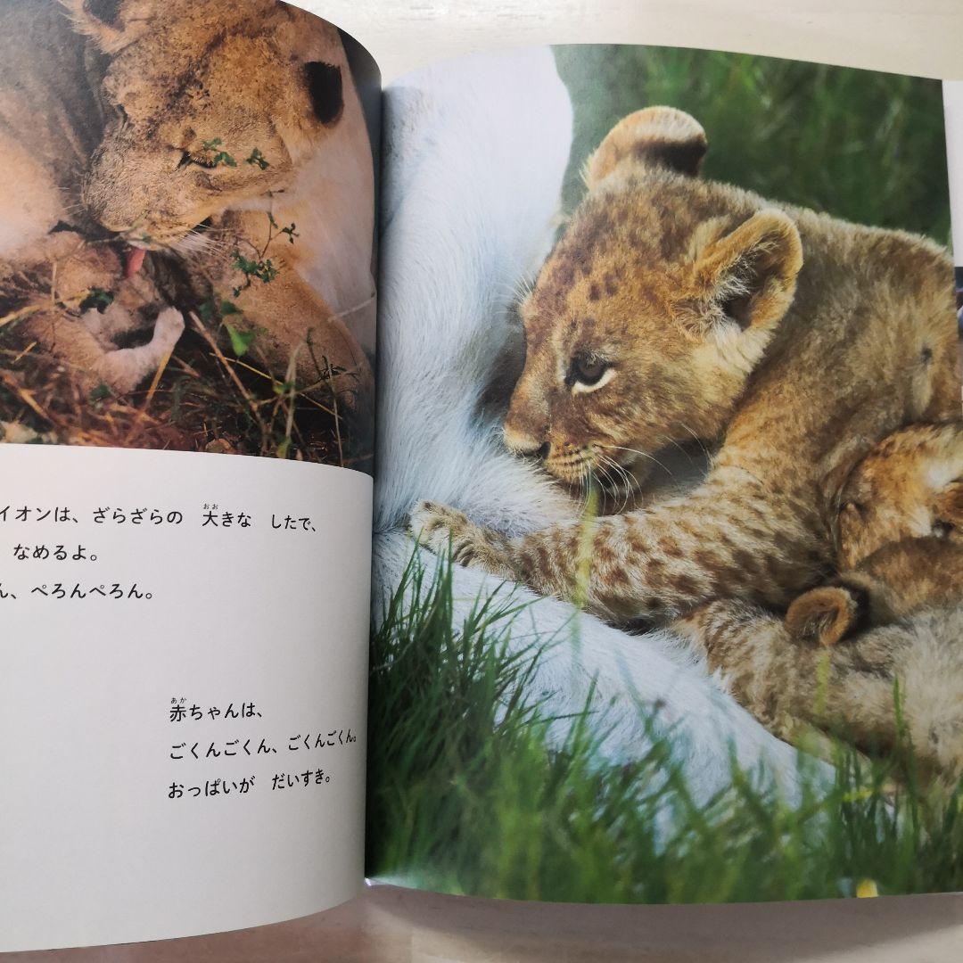 教科書にのってるどうぶつの赤ちゃん　全6巻セット