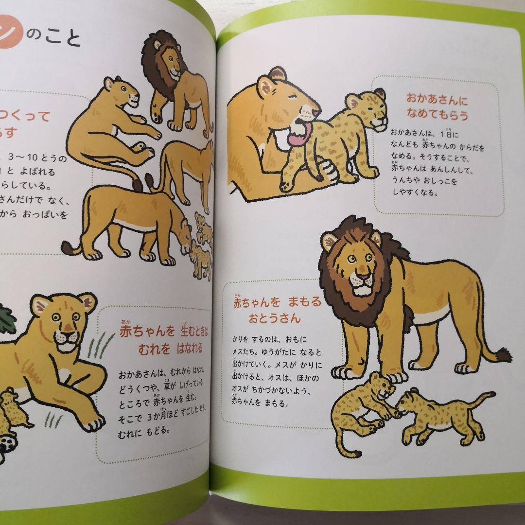 教科書にのってるどうぶつの赤ちゃん　全6巻セット