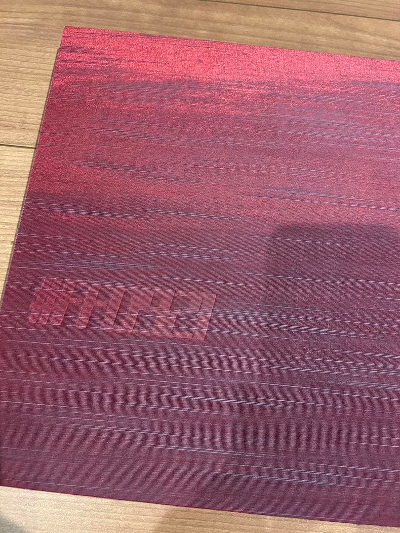 PIEZOGLYPH #FF0921 菅田将暉 小松菜奈 写真集