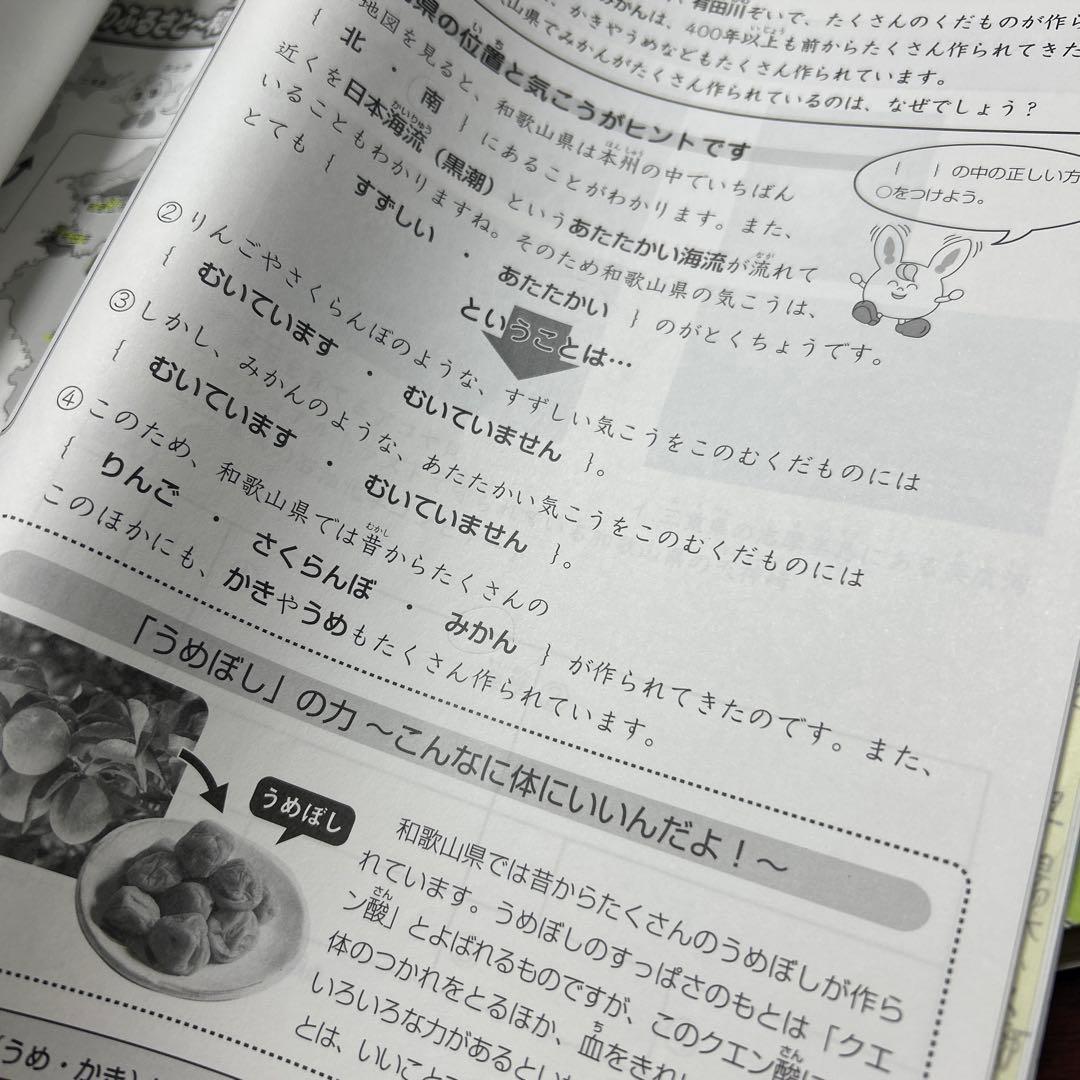 ㉒AA SAPIX サピックス 3年　社会　ディリーサピックス　フルセット