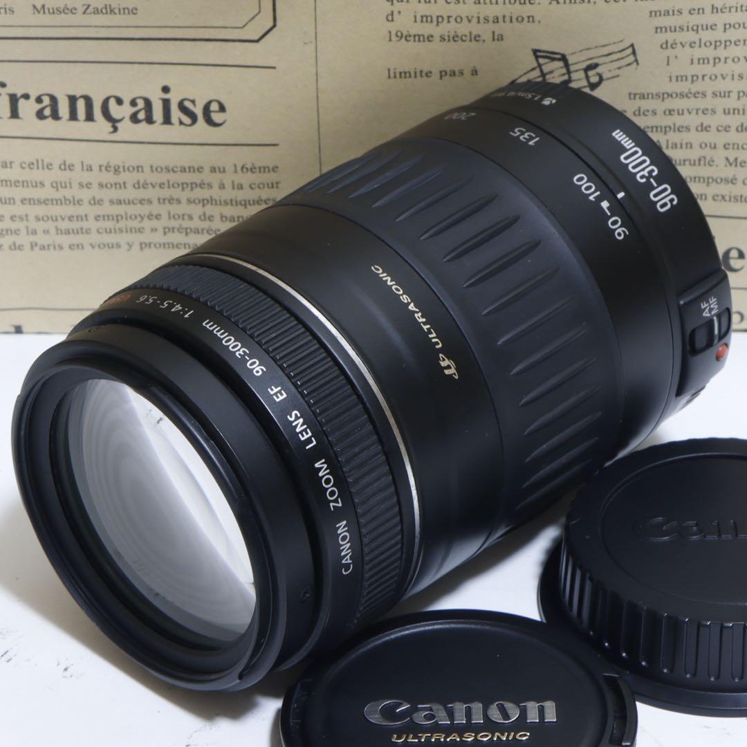 ★にゃんこ&高速ピントAF!!★キャノン EF 90-300mm USM★