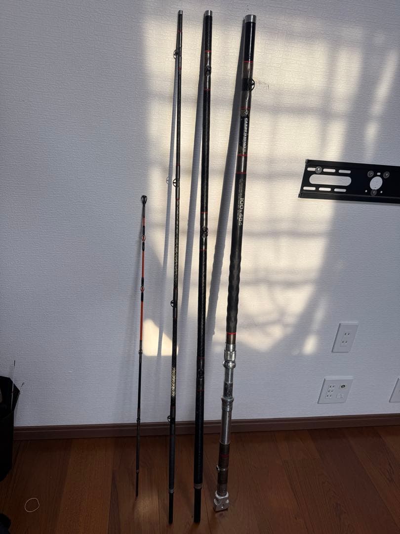 カーボウイスカー　尖閣100号　484