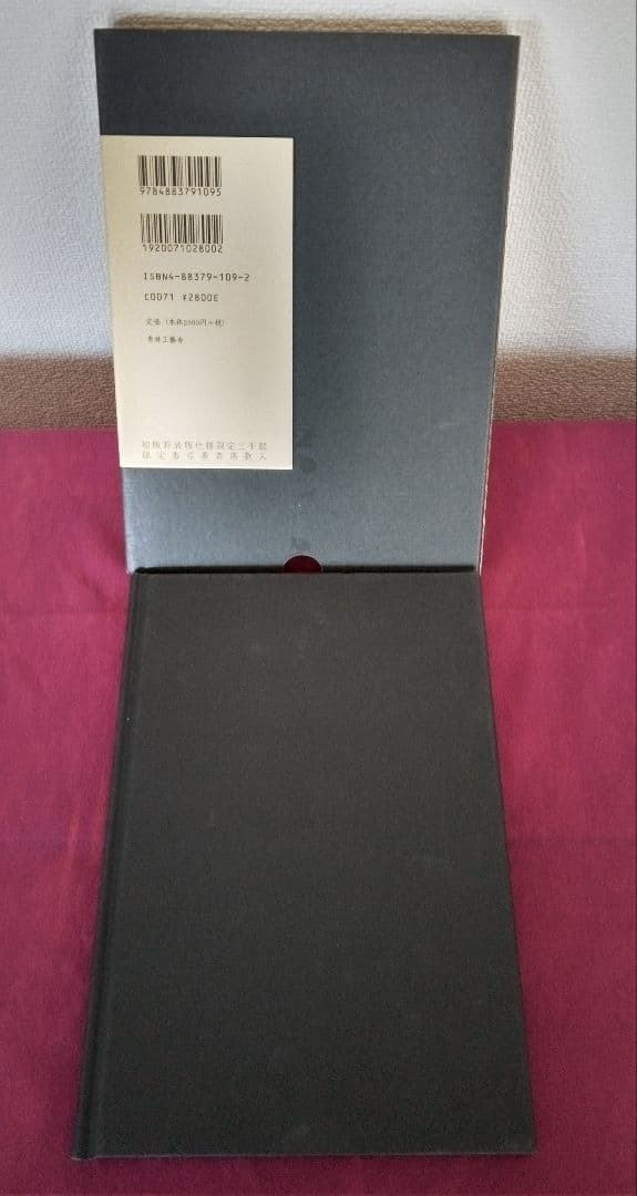 【限定3000部】佐伯俊男最初期画集