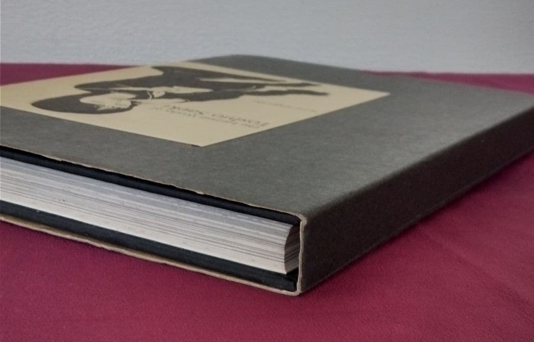 【限定3000部】佐伯俊男最初期画集