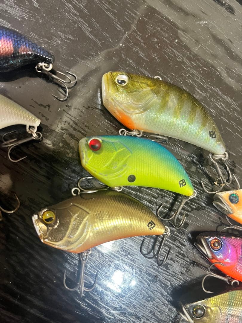 レベルバイブ、TN60、トリゴン、スマトラセット