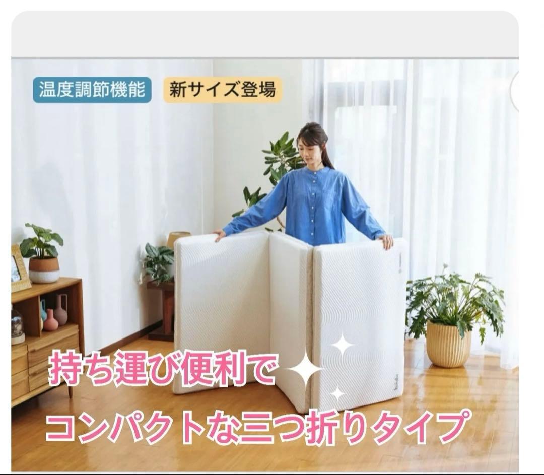 ✨快適快眠✨コアラフトン OASIS シングル 布団 三つ折り コアラ(R)