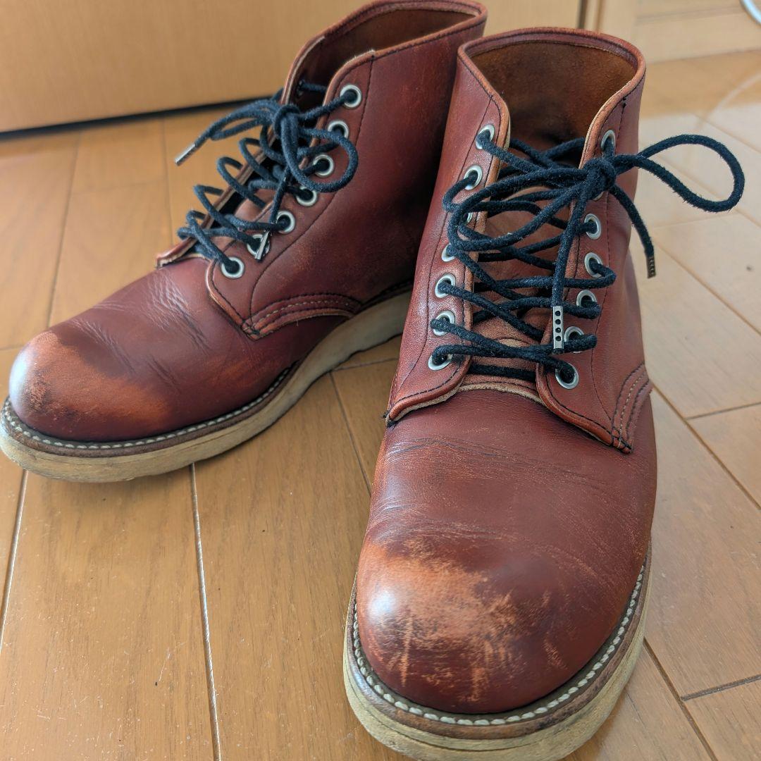 【はやとまる】レッドウィングアイリッシュセッター8166 半円犬タグ