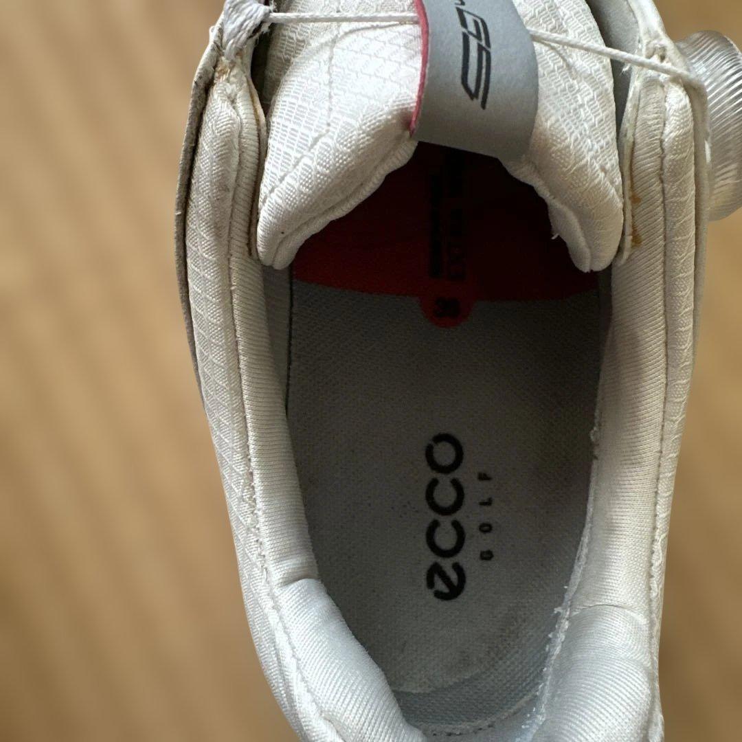 【エコー】 ゴルフシューズ レディース【ecco】　24.5