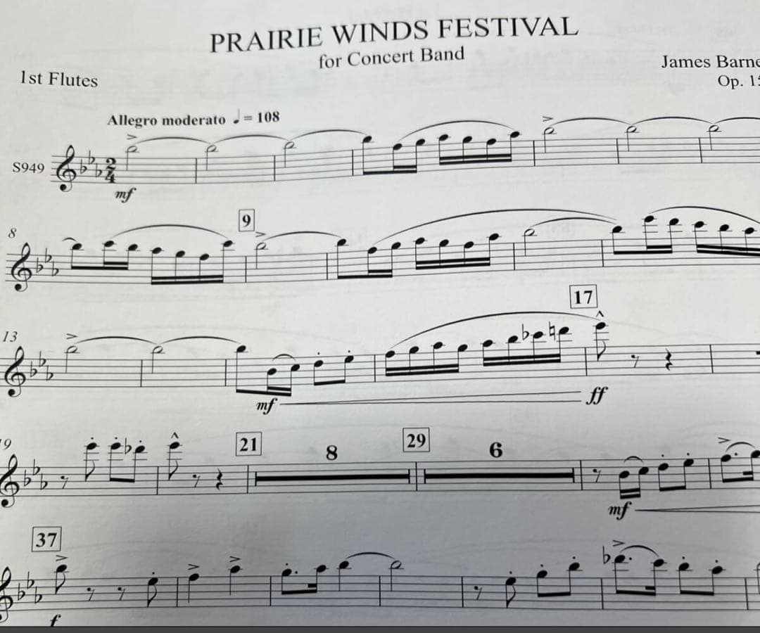 2/4削除　最終値下げ　バーンズ　プレーリーウインズフェスティバル