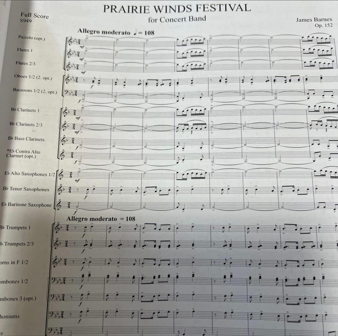 2/4削除　最終値下げ　バーンズ　プレーリーウインズフェスティバル