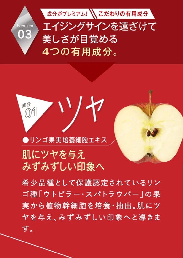 【新品】エニシー　グローパックセット（炭酸ガスパック/10回分）