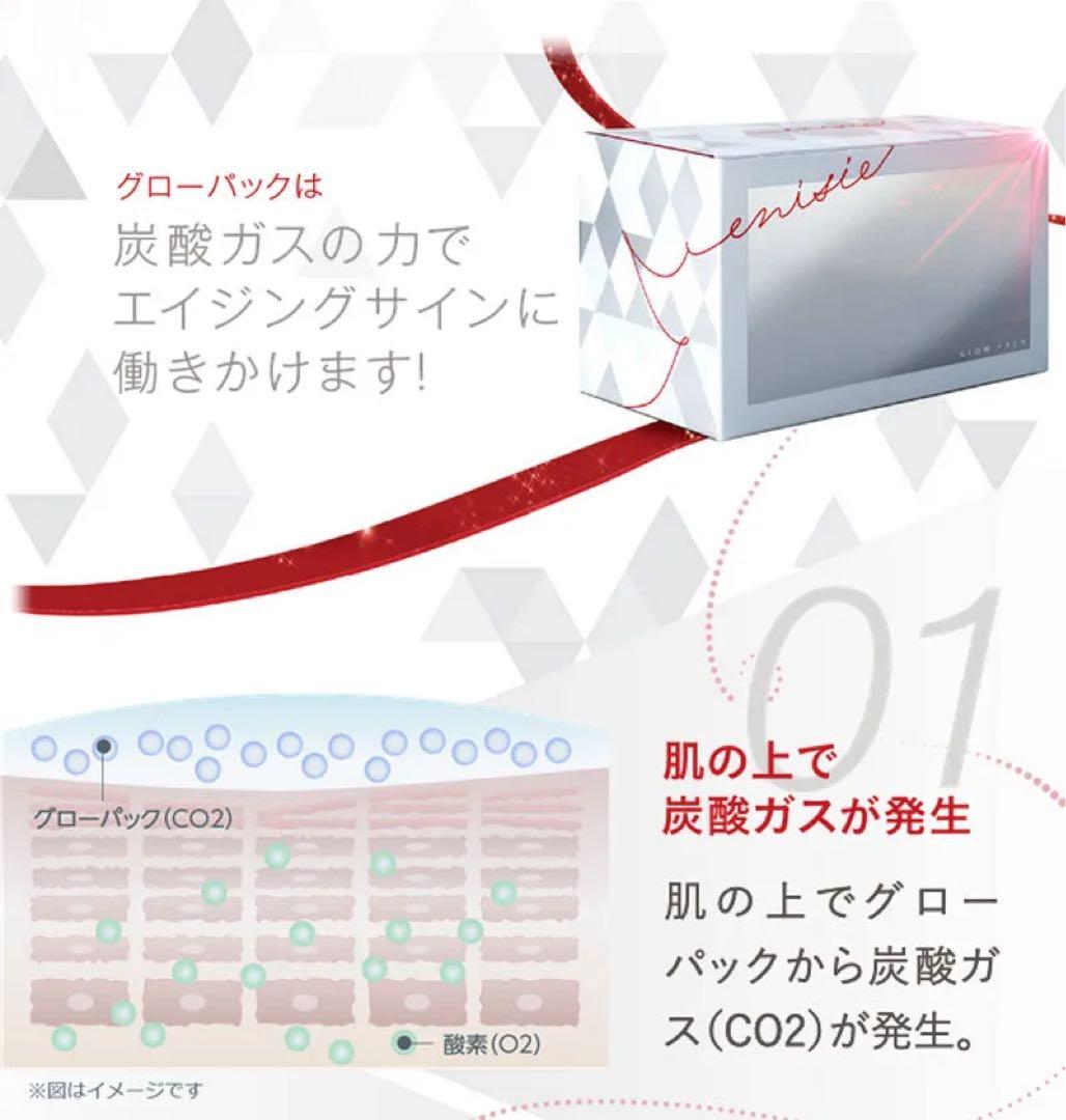 【新品】エニシー　グローパックセット（炭酸ガスパック/10回分）