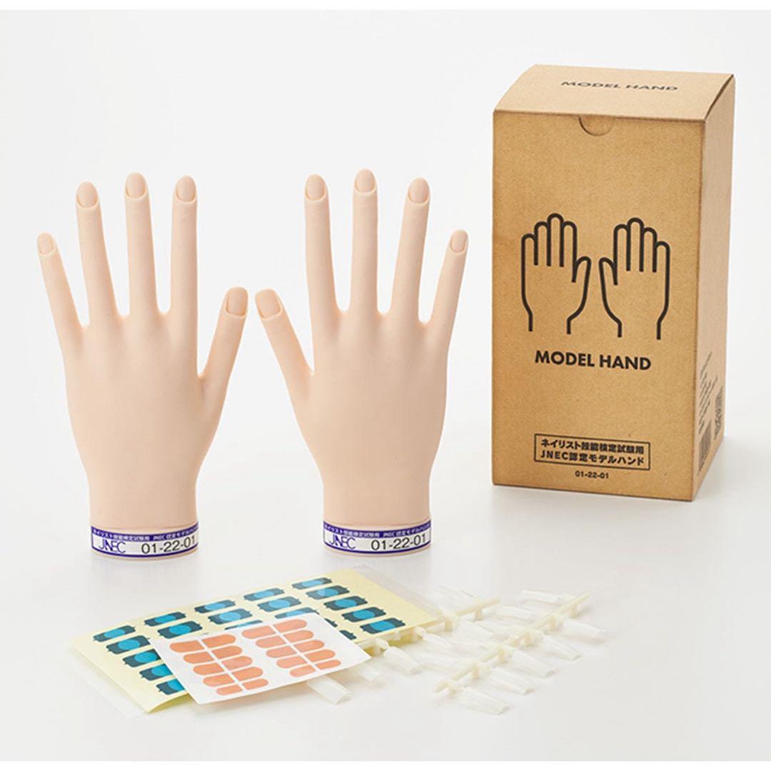 STモデルハンド