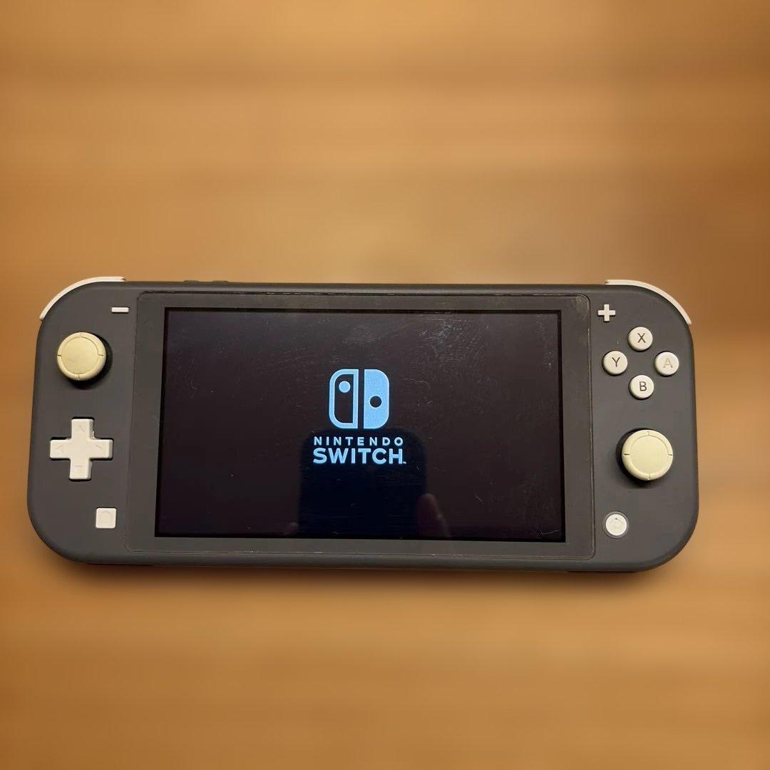 Nintendo Switch Lite 本体 グレー（付属品完備・おまけ付）