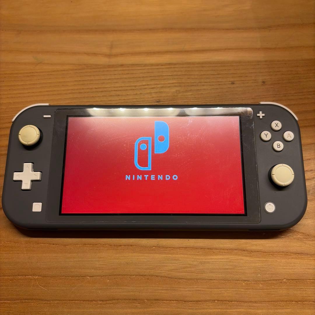 Nintendo Switch Lite 本体 グレー（付属品完備・おまけ付）