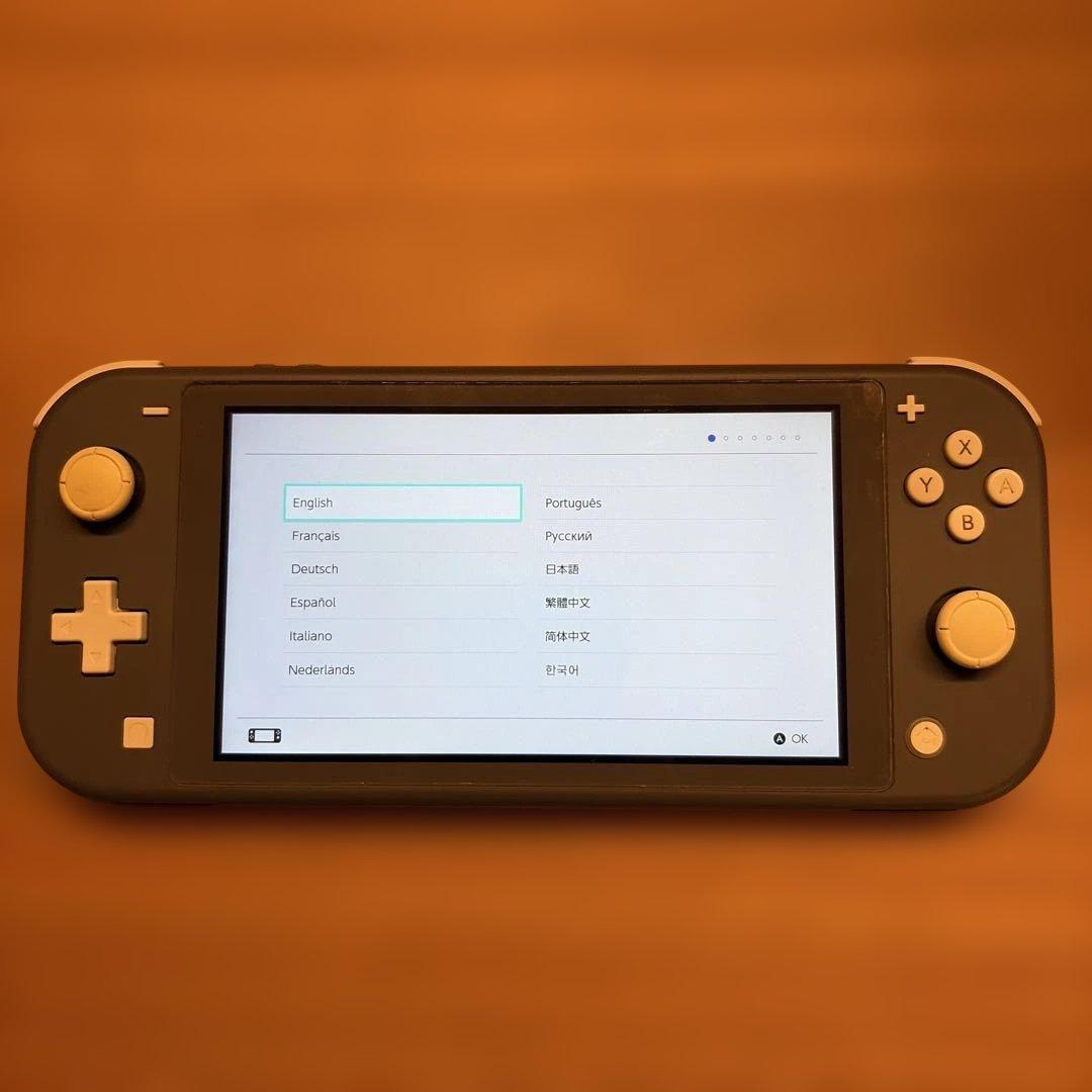 Nintendo Switch Lite 本体 グレー（付属品完備・おまけ付）