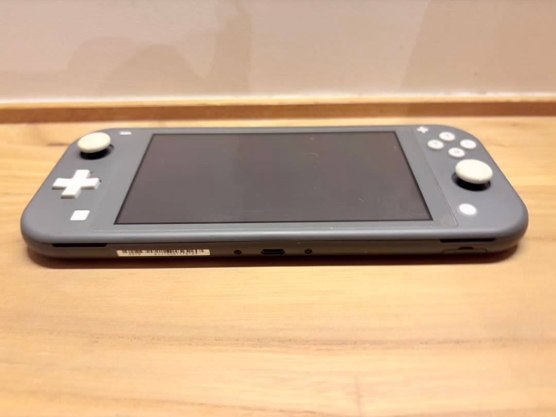 Nintendo Switch Lite 本体 グレー（付属品完備・おまけ付）