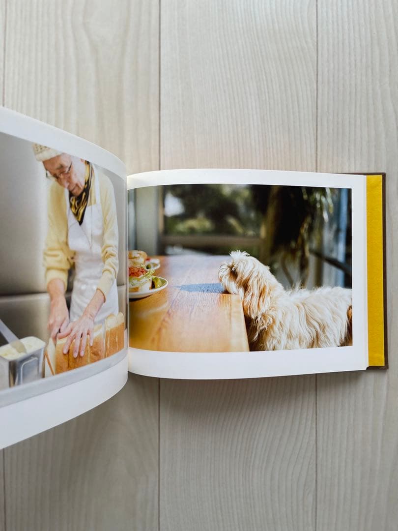 アート・デザイン・音楽 ONE DAY: LIFE WITH A DOG