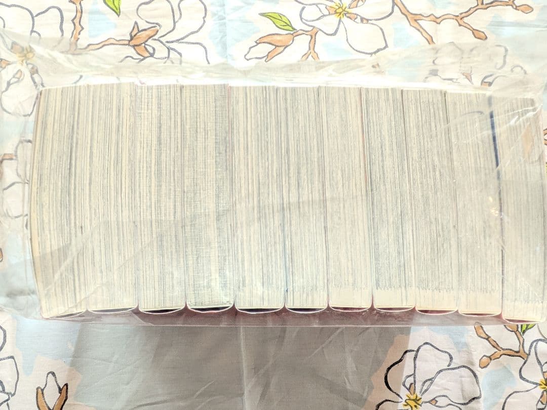 【期間限定価格】天上の虹 全11巻 里中満智子