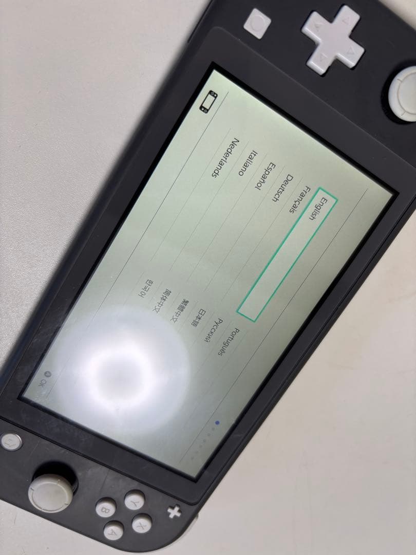 【美品】Switch Lite グレー＋ケース付（使用頻度わずか）