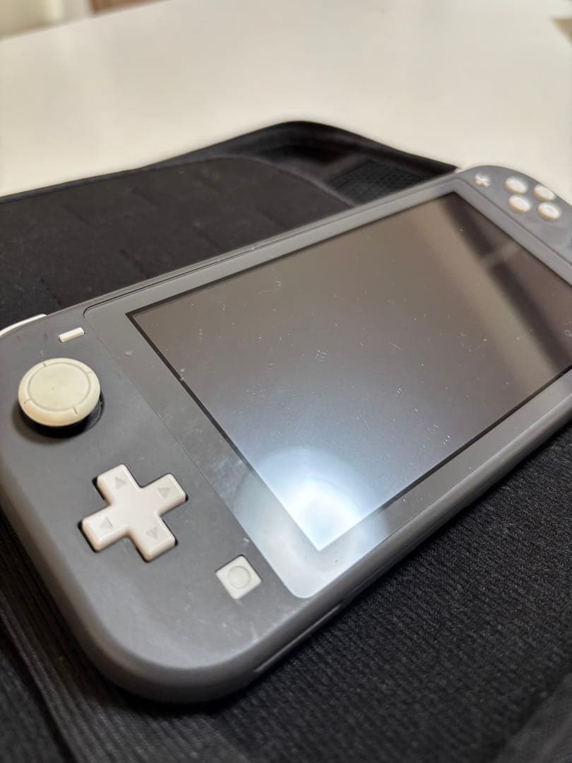【美品】Switch Lite グレー＋ケース付（使用頻度わずか）
