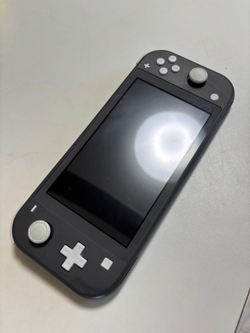 【美品】Switch Lite グレー＋ケース付（使用頻度わずか）