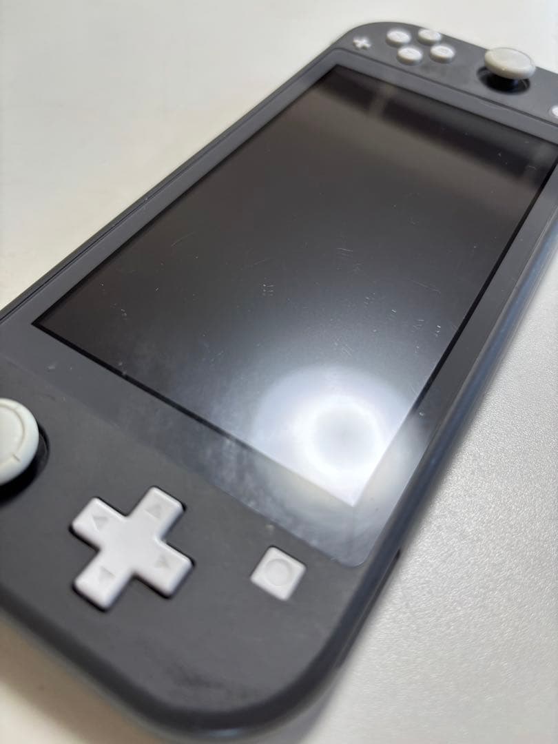【美品】Switch Lite グレー＋ケース付（使用頻度わずか）
