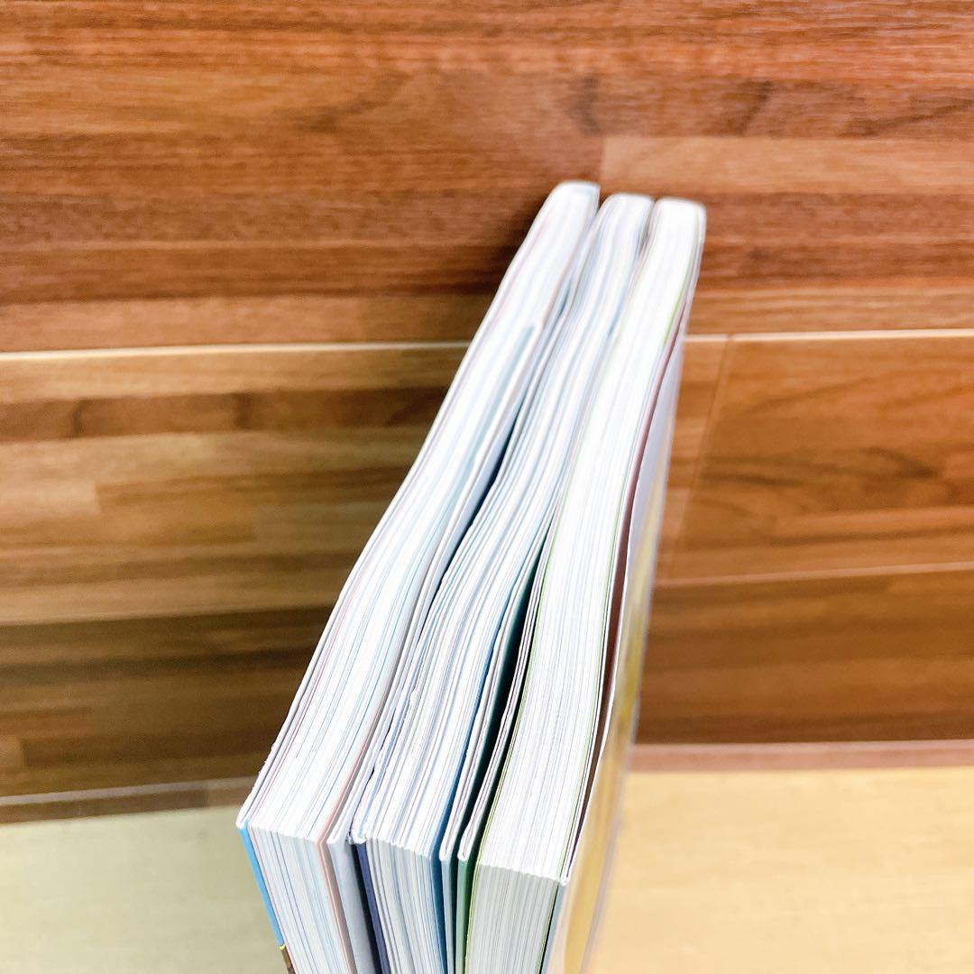 ロマン・ユゴー　3冊セット　エーデルワイスのパイロット　ル・グラン・デューク