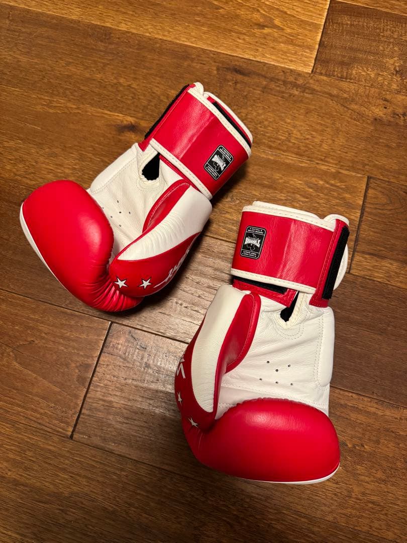TWINS SPECIAL ボクシンググローブ 14oz 赤白